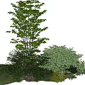 Plant combination trees grass haystack 3d model