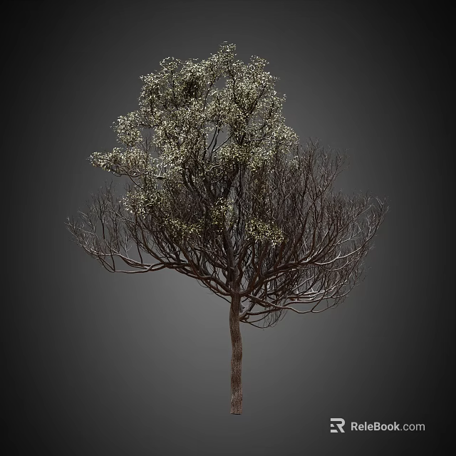 Tall Arbor With White Flowers And Delicate Branches On Dark Backdrop 3d model