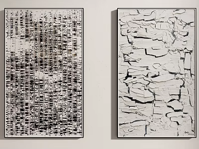 Two Abstract Black And White Paintings As Wall Art Decor Pieces 3d model