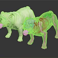 Veterinary Medical Equipment Animal Skeleton Model with Realistic Dog Tongue Pose on Black Reflective Surface