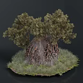Large Sturdy Tree With Thick Trunk Exposed Roots And Surrounding Grass