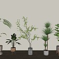 Modern Green Plant Potted Plant 3d model