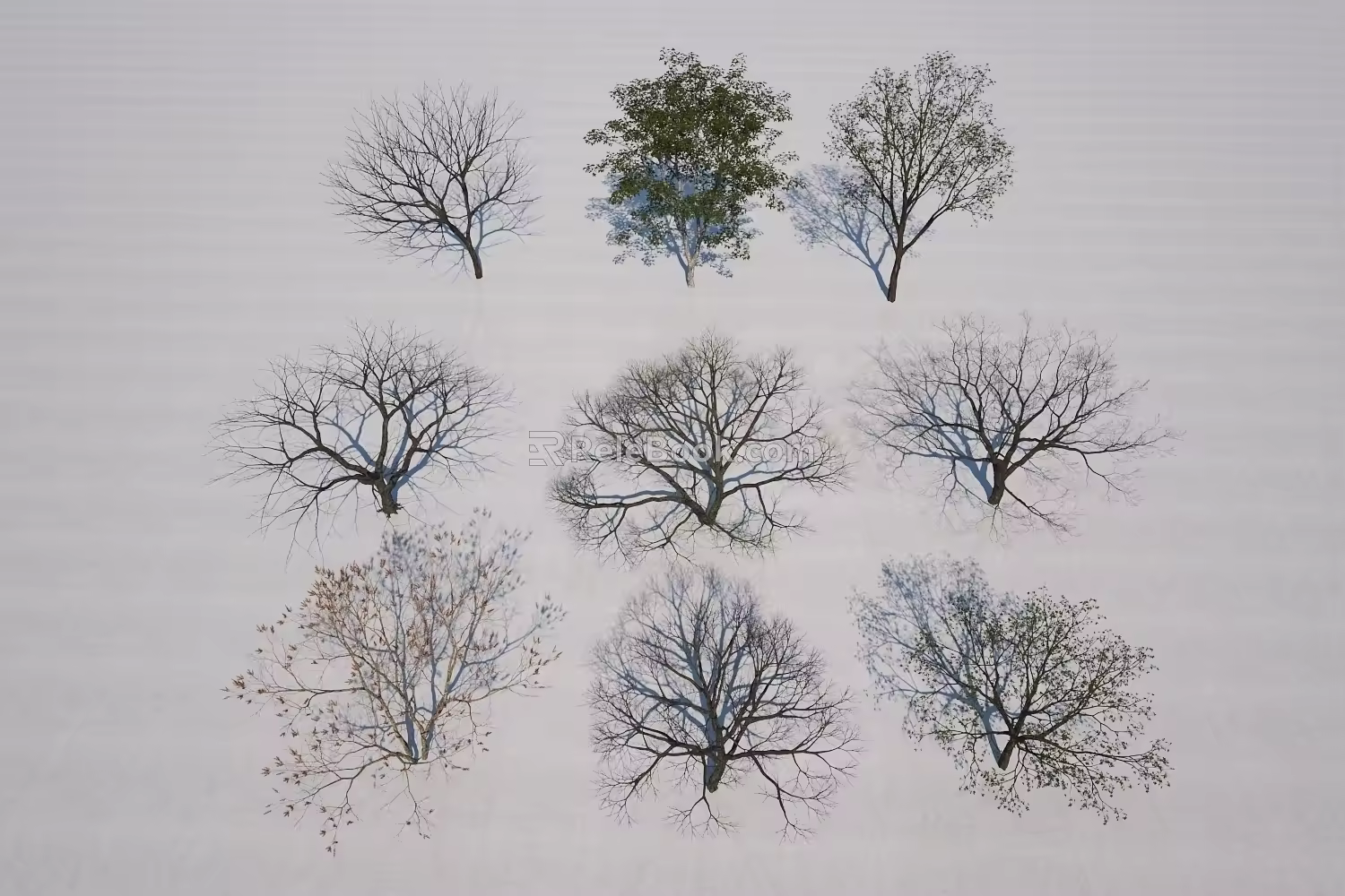 Tree Dead Tree Scattered Tree Combination 3d model
