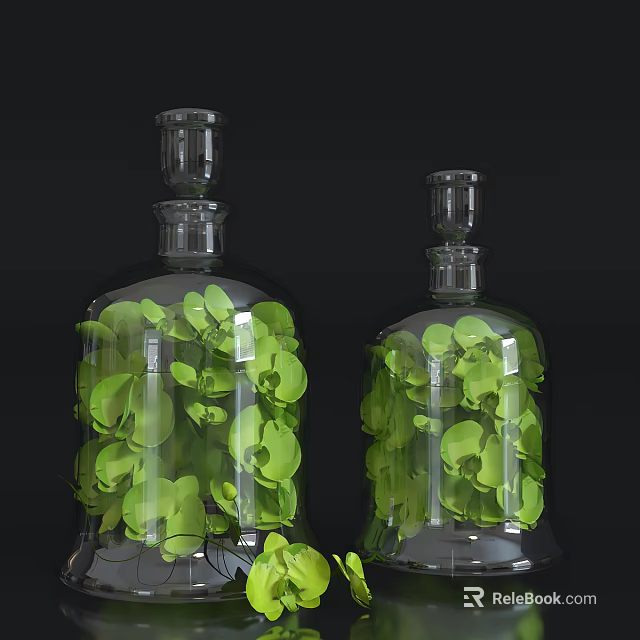 Two Transparent Glass Vases Filled With Fresh Green Leaves For Decoration 3d model 