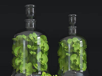 Two Transparent Glass Vases Filled With Fresh Green Leaves For Decoration 3d model