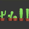 Multiple Green Cactus Plants in Red Pots on Black Background