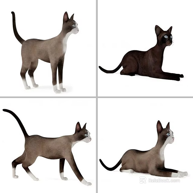 Collection Of Cats In Various Poses Standing Lying Walking And Sitting 3d model 