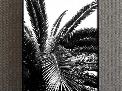 Black and White Palm Leaf Plant Painting For Modern Interior Wall Decor 3d model
