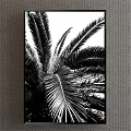 Black and White Palm Leaf Plant Painting For Modern Interior Wall Decor