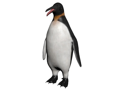 Penguin model