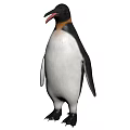 Black And White Reptile Standing Upright With Open Mouth And Webbed Feet