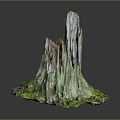 Natural Tree Stump Decorative Piece With Textured Surface Green Moss And Small Stones