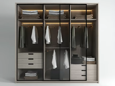 Modern Wardrobe Interior Design With Hanging Clothes Folded Garments Drawers And Storage Compartments 3d model