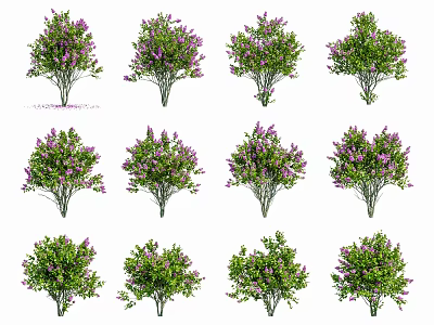 Diverse Garden Shrub Varieties With Lush Green Foliage And Purple Blooms 3d model