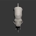 Gray Elephant With Ivory Tusks Standing On Dark Reflective Surface 3d model