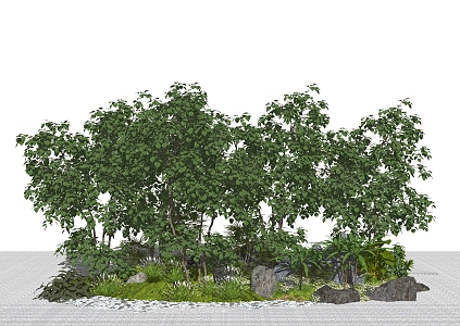 Modern Trees Landscape Trees Flowers and Shrubs 3d model