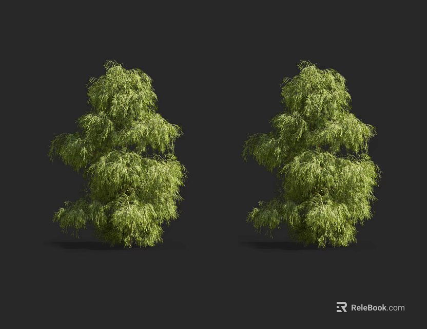 Two Lush Green Shrubs Against Black Background For Garden Landscaping 3d model 