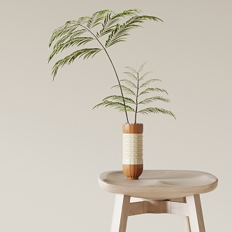 Modern vase plant ornaments 3d model