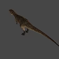 Realistic Tyrannosaurus Dinosaur Figure With Detailed Skin And Open Mouth