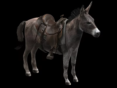 Detailed Gray Donkey With Leather Saddle Standing On Black Background 3d model