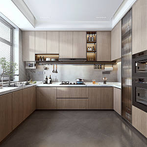 Modern Kitchen 3d model