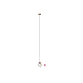 Modern Petal Shaped Chandelier With Golden Frame And Transparent Glass Design