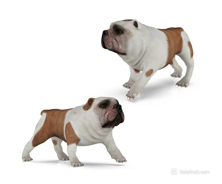Two Brown And White Bulldog Figurines In Different Standing Poses 3d model 