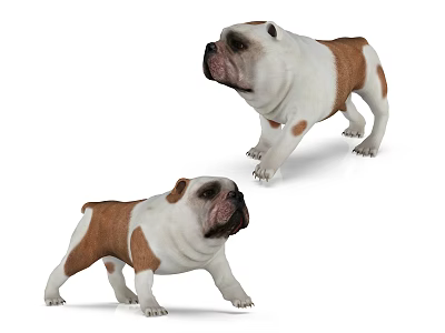 Two Brown And White Bulldog Figurines In Different Standing Poses 3d model