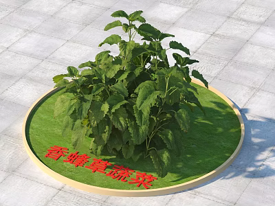 Bee Balm Vegetable Shrub Growing In Circular Planter On Paved Ground 3d model