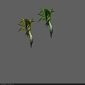 Creative Character And Creature Plant Inspired Designs With Green Leaves And Unique Shapes