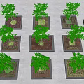 Multiple Tree Planters With Green Plants In Various Shapes And Orderly Arrangement 3d model