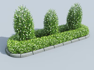 Three Well Trimmed Garden Shrubs With White Flowers Green Hedge And Concrete Border 3d model