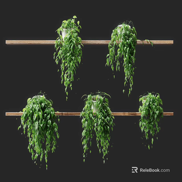 Multiple Hanging Bonsai Potted Plants With Green Trailing Vines On Wooden Shelves 3d model 
