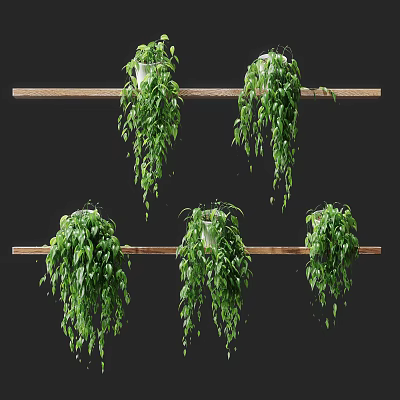 Multiple Hanging Bonsai Potted Plants With Green Trailing Vines On Wooden Shelves 3d model