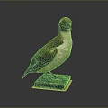 Detailed Bird Taxidermy Specimen Standing On Black Base Against Dark Background