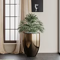 Elegant Bonsai Plant In Gold Pot Near Window With Curtain Indoor