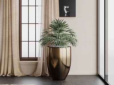 Elegant Bonsai Plant In Gold Pot Near Window With Curtain Indoor 3d model