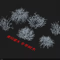 Winter Snowy Wind Shrubs with Natural Bare Frost Covered Branches