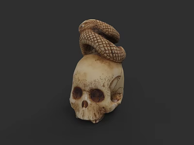Detailed Skull Sculpture With Coiled Snake Carving Artistic Design 3d model