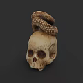 Detailed Skull Sculpture With Coiled Snake Carving Artistic Design