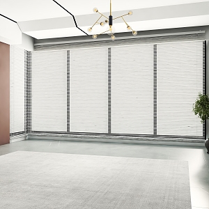 Blinds 3d model