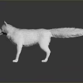White Fox Game Movie Character With Fluffy Fur And Orange Eyes 3d model