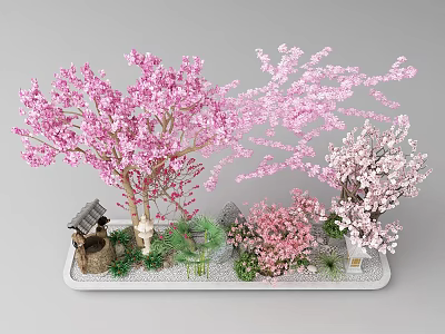 Garden Courtyard Featuring Pink White Cherry Blossom Trees Stone Structure Green Plants Gravel Ground 3d model