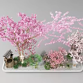Garden Courtyard Featuring Pink White Cherry Blossom Trees Stone Structure Green Plants Gravel Ground