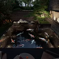 Serene Courtyard Garden Water Feature With Koi Fish Pond Green Plants Brick Walls And Lighting