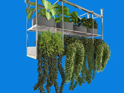 Stainless steel shelf green plant 3d model