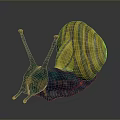 Unique Vibrant Snail With Blue Body Yellow Striped Shell And Long Antennae