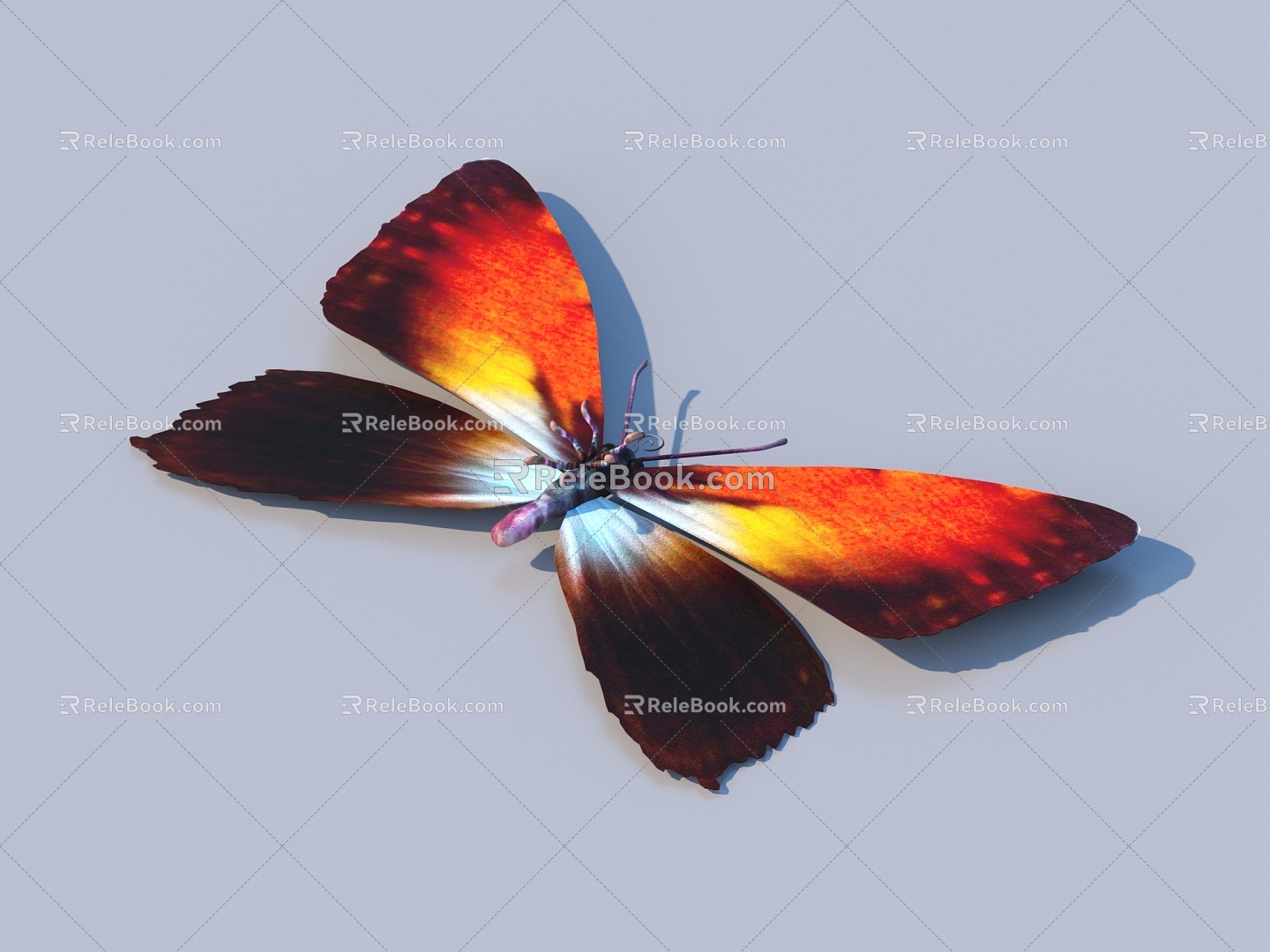 butterfly animal flying creature 3d model