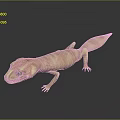 Lizard Anime Lizard Chameleon Cartoon Lizard Reptile Cold Blooded Animal Reptile Class 3d model