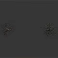 Two Leafless Dry Trees Standing Isolated Against Minimalist White Background
